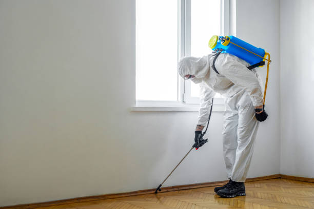 Best Residential Pest Control  in Rolla, MO